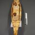 Model of a kayak